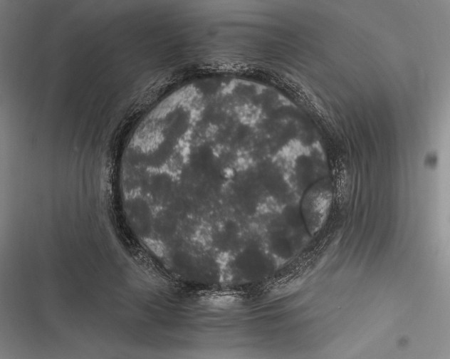 X0000116860643201001121241