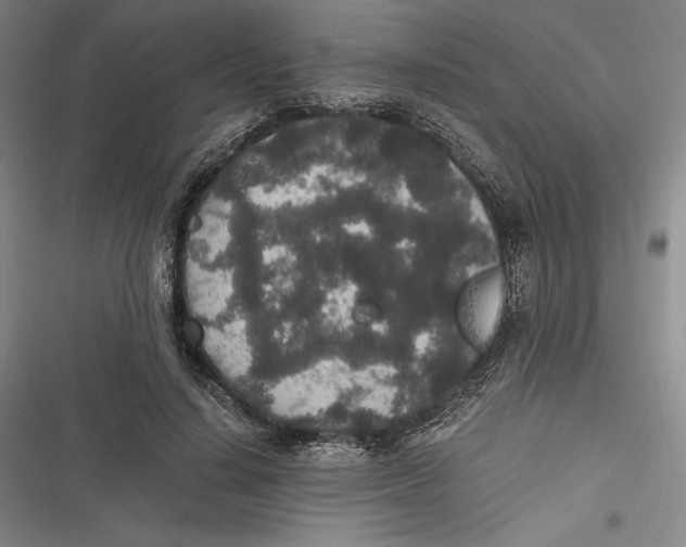 X0000116860644201001121241