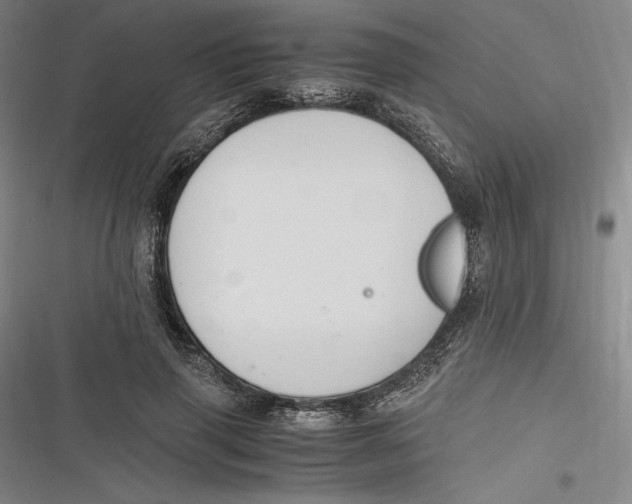 X0000116860645201001121241