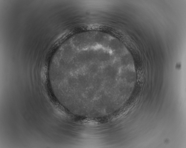 X0000116860648201001121242