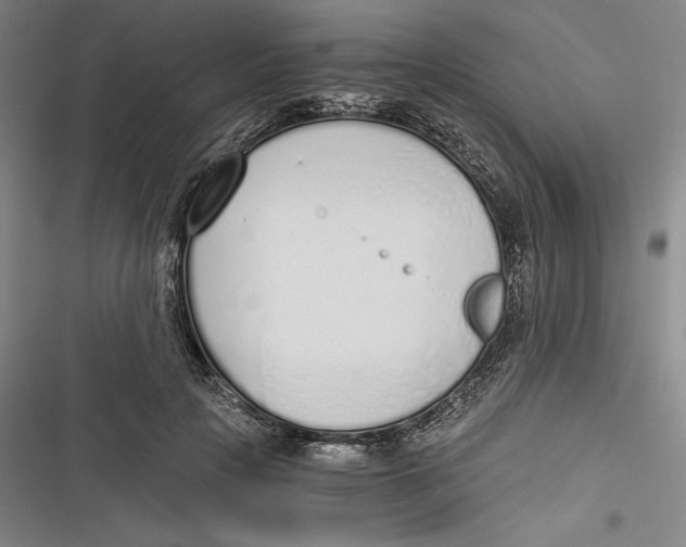 X0000116860649201001121242