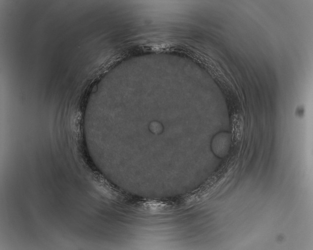 X0000116860650201001121242