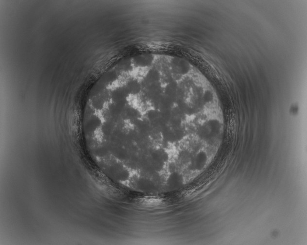 X0000116860651201001121242