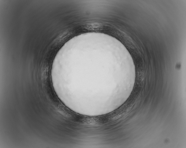 X0000116860652201001121242