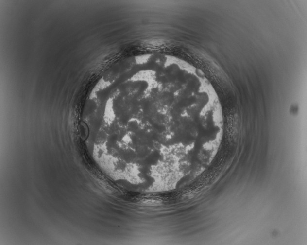 X0000116860653201001121242