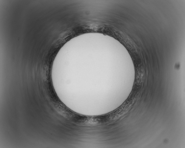 X0000116860656201001121242