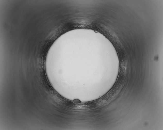 X0000116860657201001121242