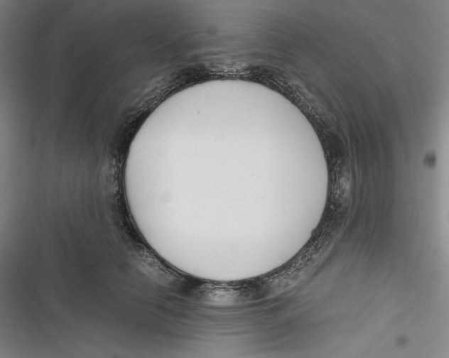 X0000116860658201001121242