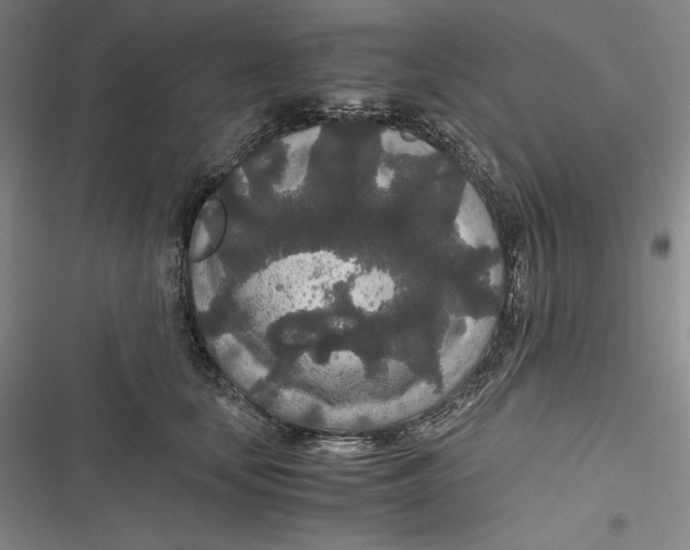 X0000116860659201001121242