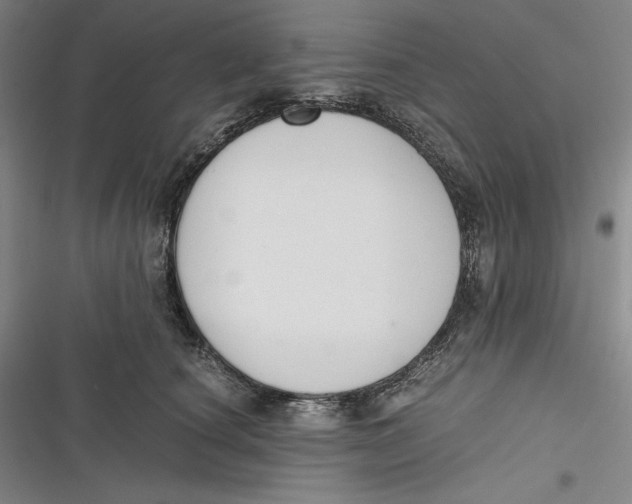 X0000116860660201001121242