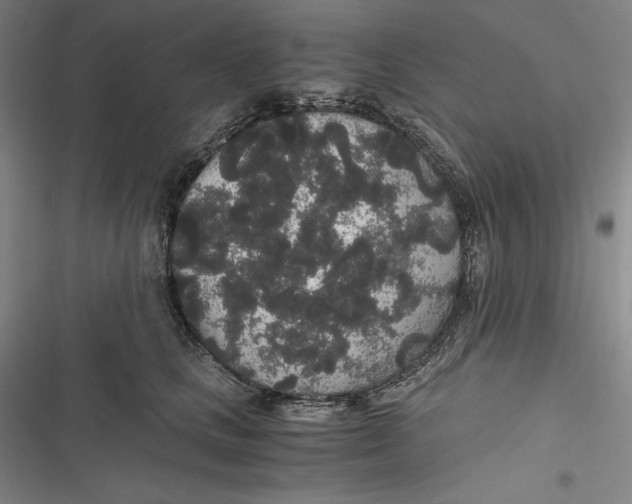 X0000116860661201001121242