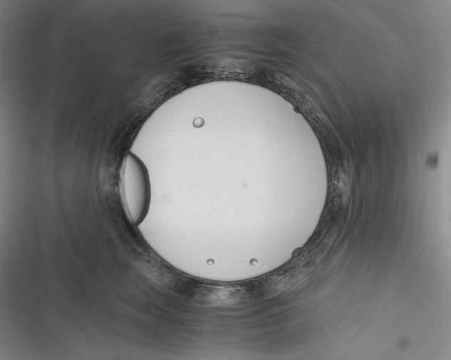 X0000116860663201001121242