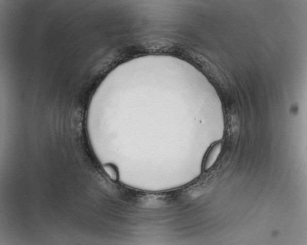 X0000116860664201001121242