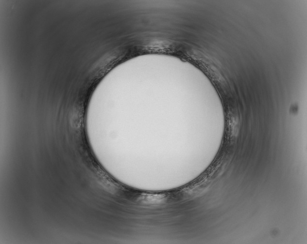 X0000116860665201001121242