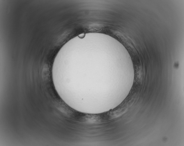 X0000116860667201001121242