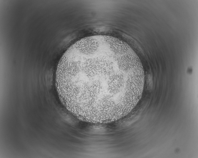 X0000116860668201001121242