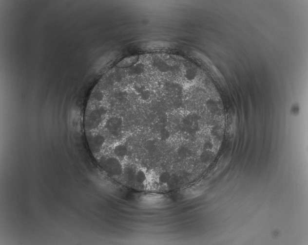 X0000116860669201001121242