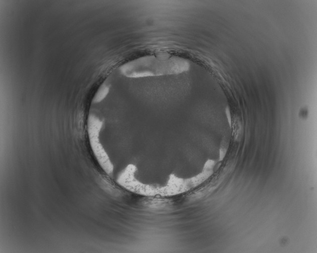 X0000116860670201001121242