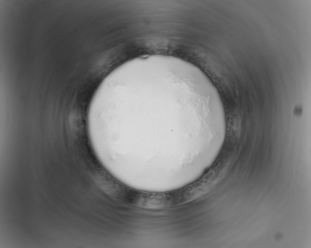 X0000116860671201001121242