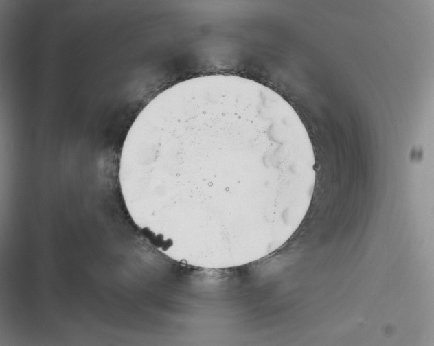 X0000116860672201001121242