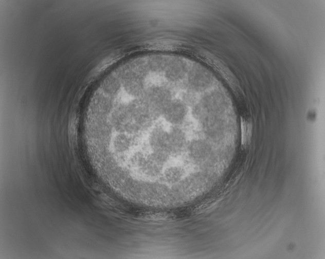 X0000116860675201001121241