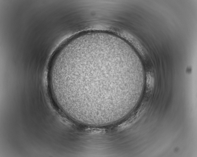 X0000116860676201001121241