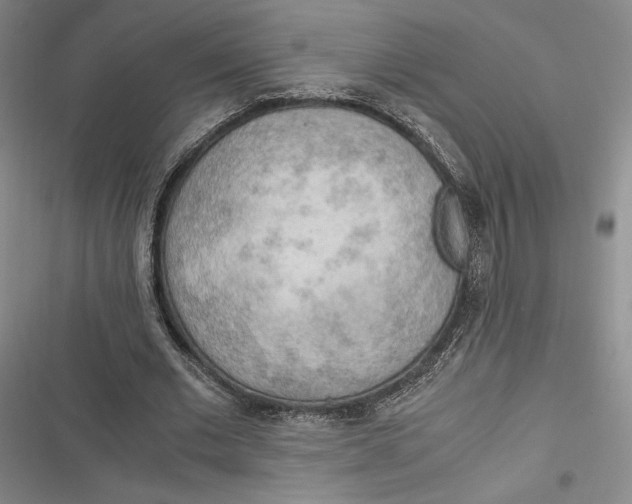 X0000116860677201001121241