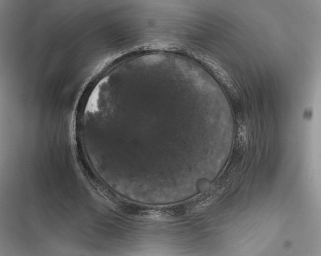 X0000116860678201001121241