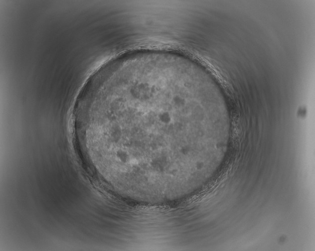 X0000116860679201001121241