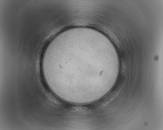 X0000116860681201001121241