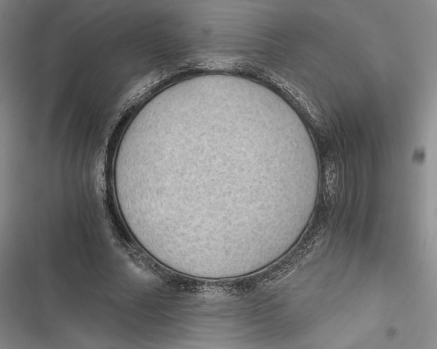 X0000116860682201001121241