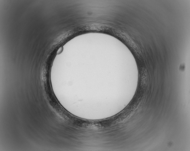 X0000116860683201001121241