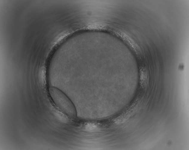 X0000116860684201001121241