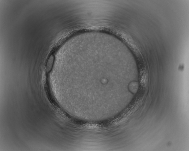 X0000116860685201001121241