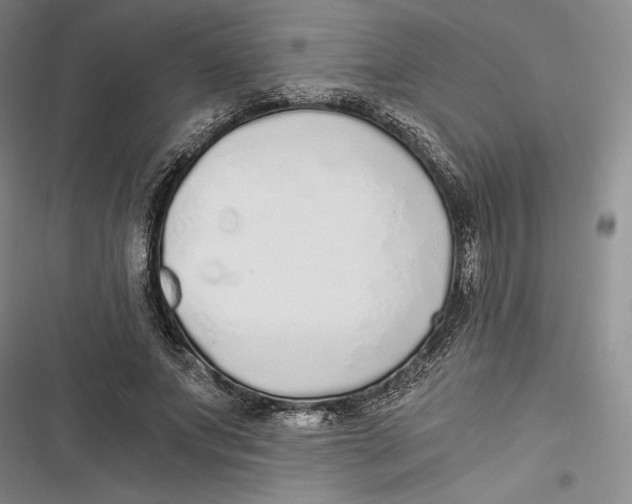 X0000116860687201001121241