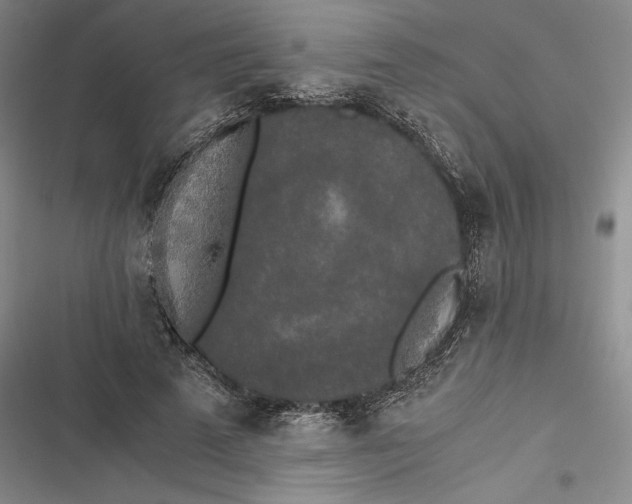 X0000116860689201001121241