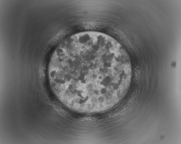 X0000116860691201001121241