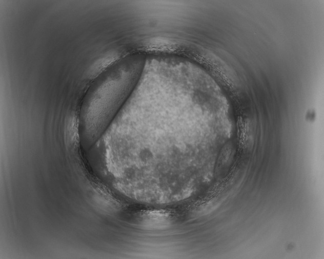 X0000116860692201001121241