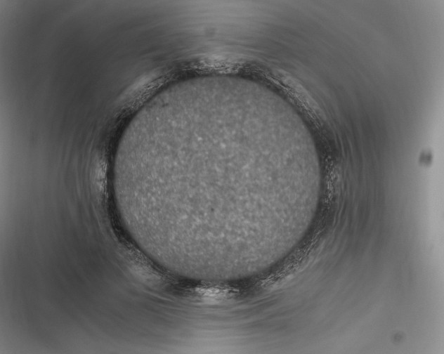 X0000116860693201001121241