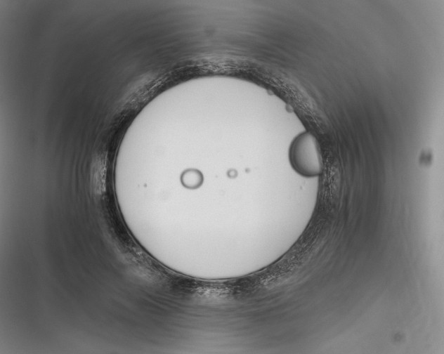 X0000116860694201001121241