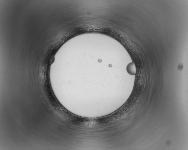 X0000116860695201001121241