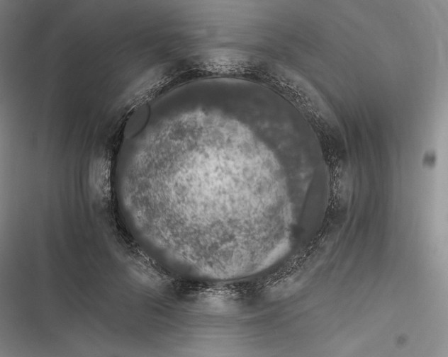 X0000116860696201001121241