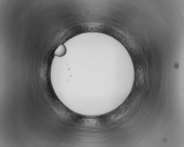 X0000116860698201001121241