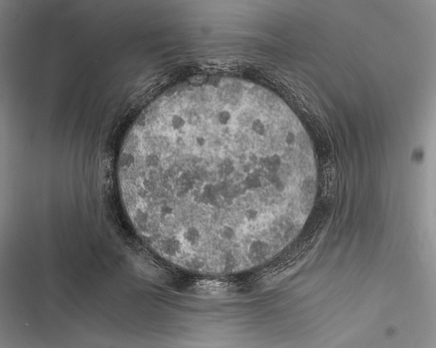 X0000116860699201001121241