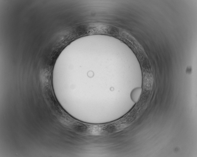 X0000116860701201001121241