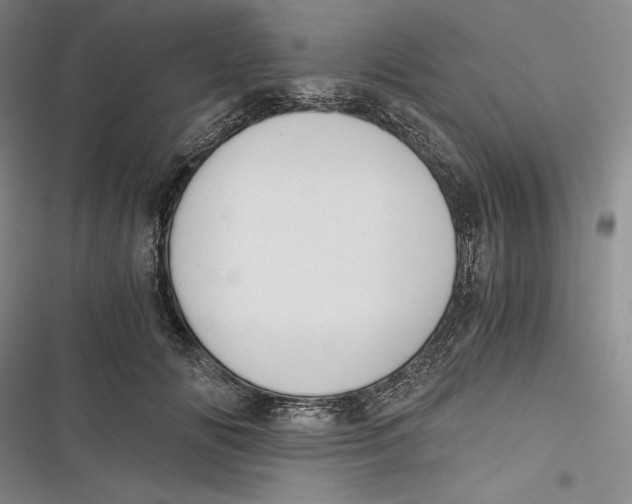 X0000116860702201001121241