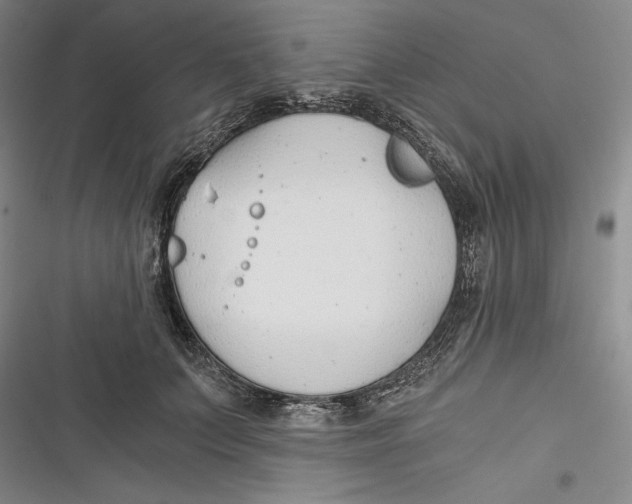 X0000116860703201001121241