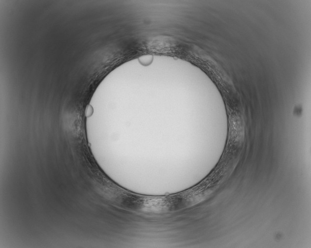 X0000116860705201001121241