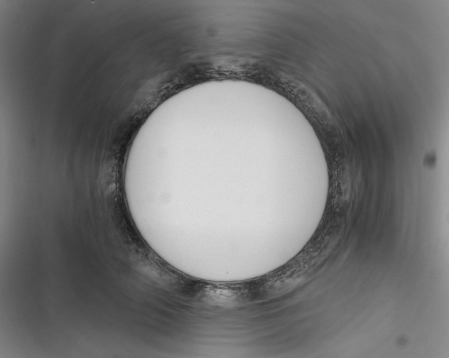 X0000116860706201001121241