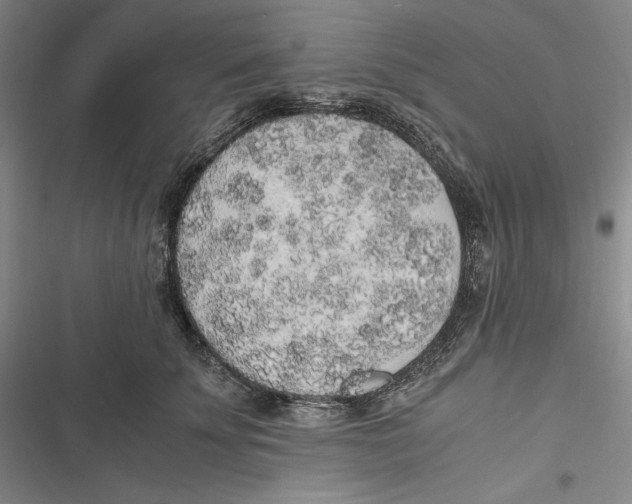 X0000116860707201001121241